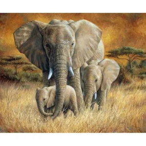 Elephant Family
