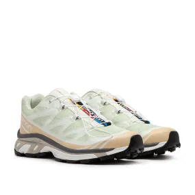salomon xt-6 (aloe wash / hazelnut / feather gray)